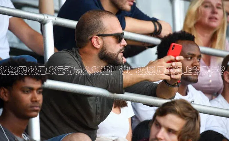 3377体育官网百度社团赞助平台波黑现役足球运动员大揭秘！谁是波黑足球场上的明星？