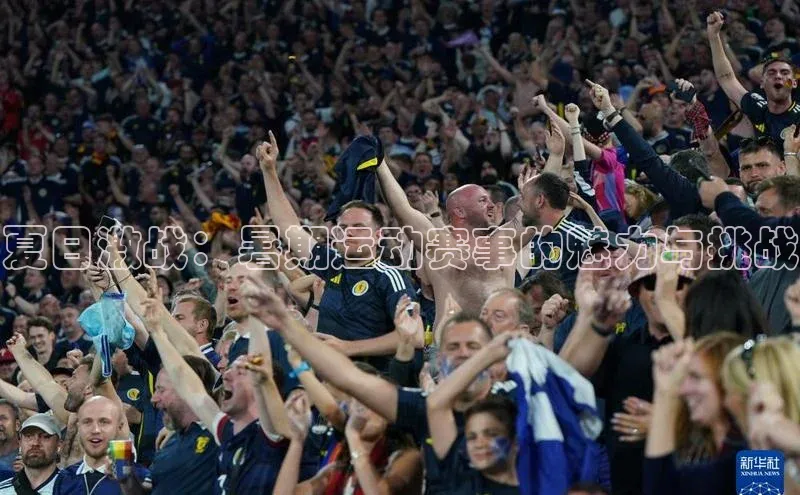 3377体育官网顺丰夏日激战：暑期运动赛事的魅力与挑战