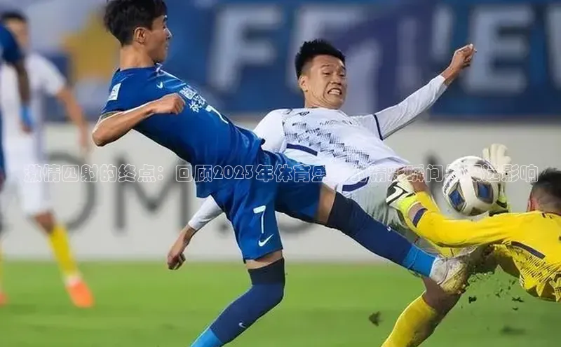 3377体育app官方网站中海达激情四射的终点：回顾2023年体育盛事的精彩瞬间与深远影响