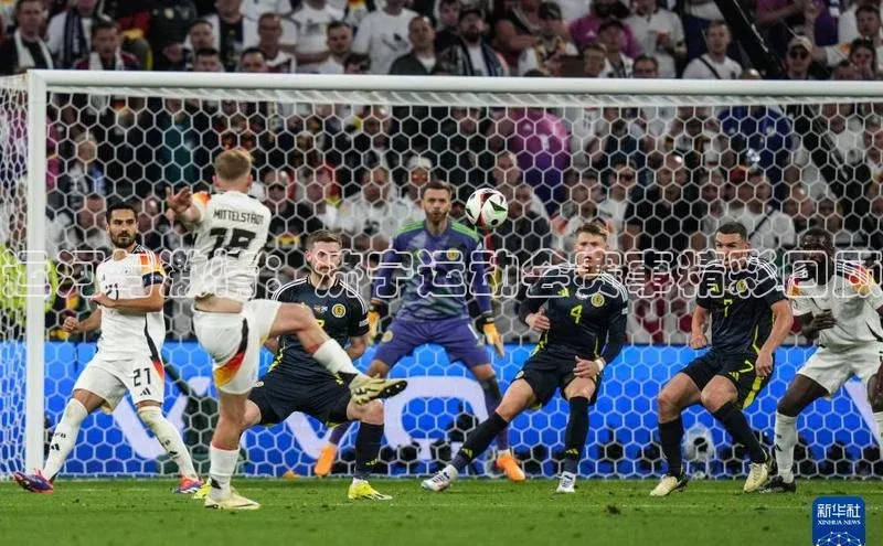 运河与激情：济宁运动会赛事精彩回顾