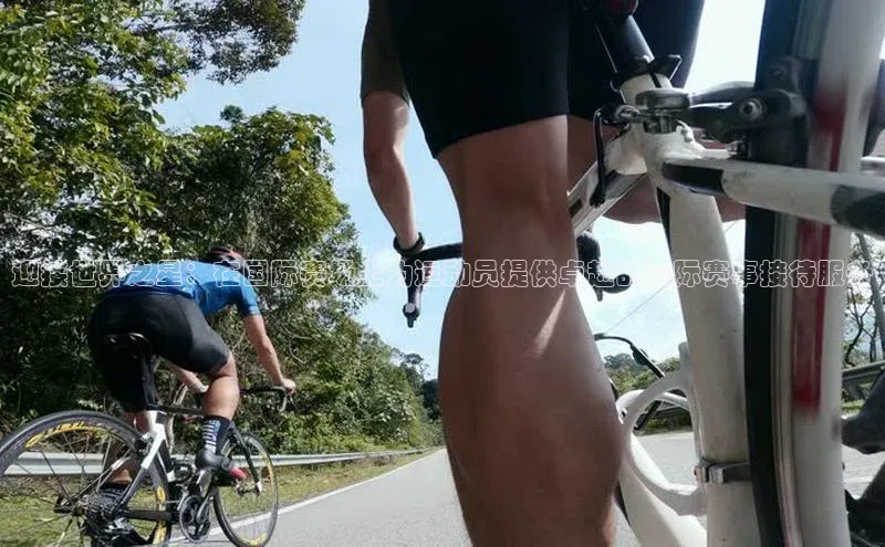 迎接世界之星：在国际赛场上为运动员提供卓越的国际赛事接待服务