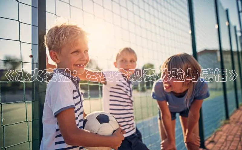 《冰火交融：冬奥会观赛体验与感悟》