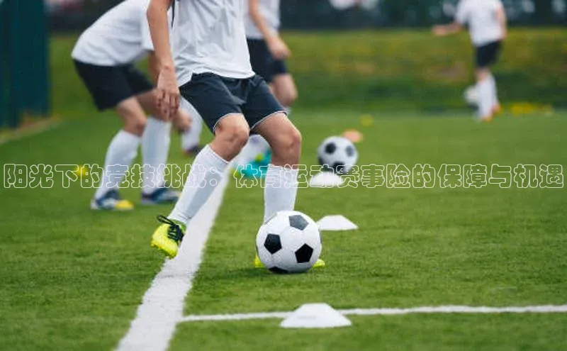 阳光下的竞技挑战：体育运动赛事险的保障与机遇