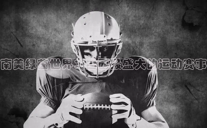 南美绿茵世界：巴西最盛大的运动赛事