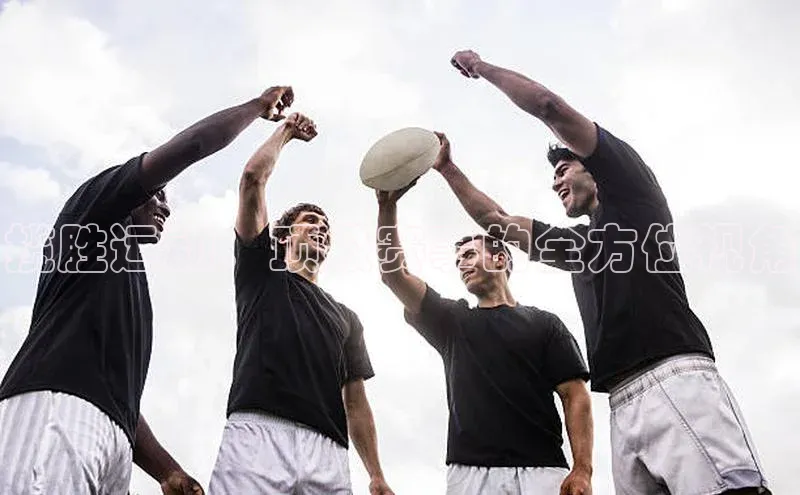 揽胜运动：顶级赛事的全方位视角