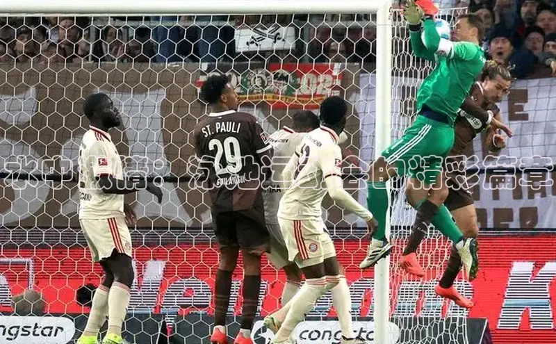 水中激情：泳池运动会的精彩篇章