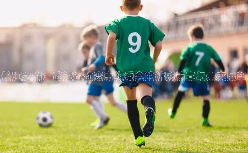 长江之巅：武汉运动赛事组委会的精彩篇章与未来展望