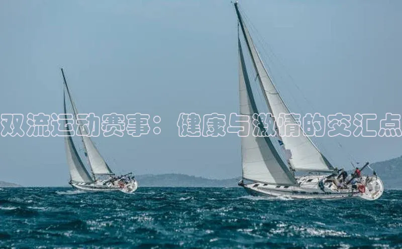 3377体育app登录入口