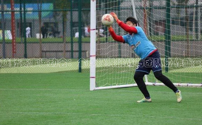 3377体育网站平台登录