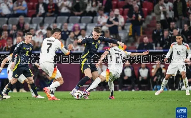 3377体育网站入口下载