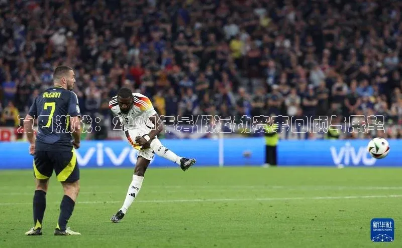 3377体育官网入口网页版