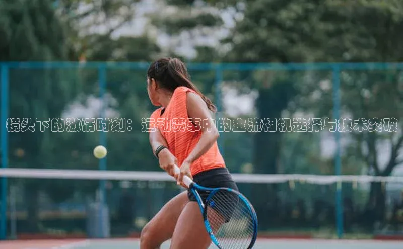 3377体育中国官方网站入口