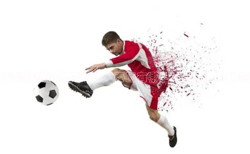 3377体育app官方网站