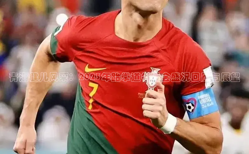 3377体育app登录入口