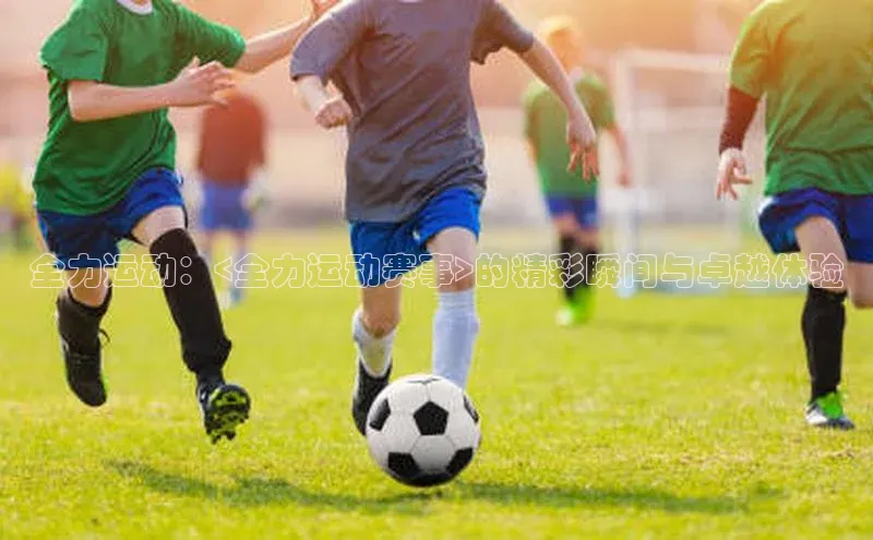 3377体育官方在线登录入口