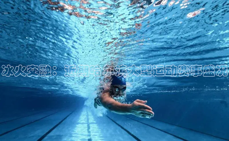 3377体育网站平台登录