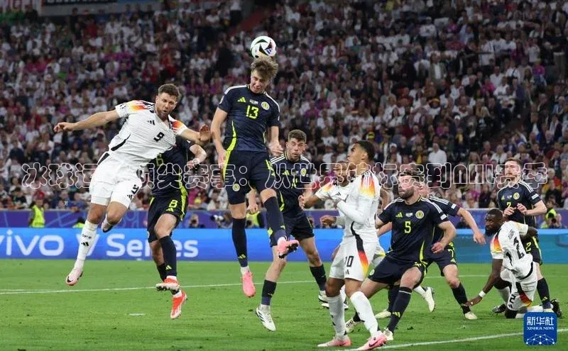 冰球运动顶尖赛事：从世界锦标赛到NHL赛季