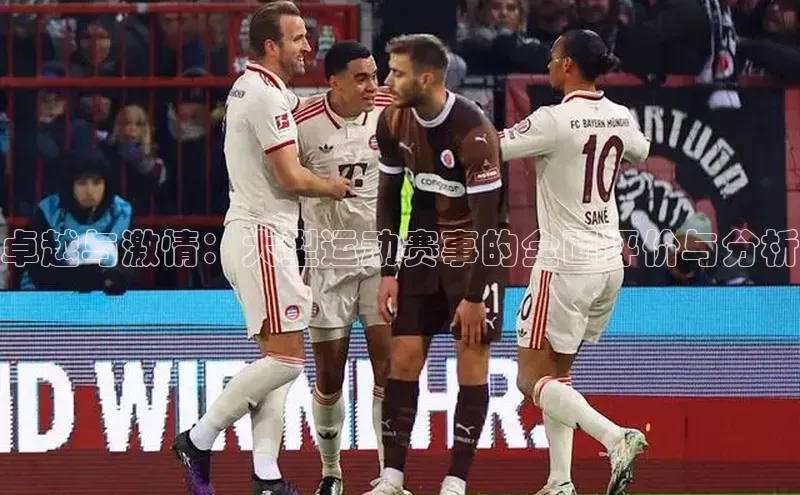 卓越与激情：大型运动赛事的全面评价与分析