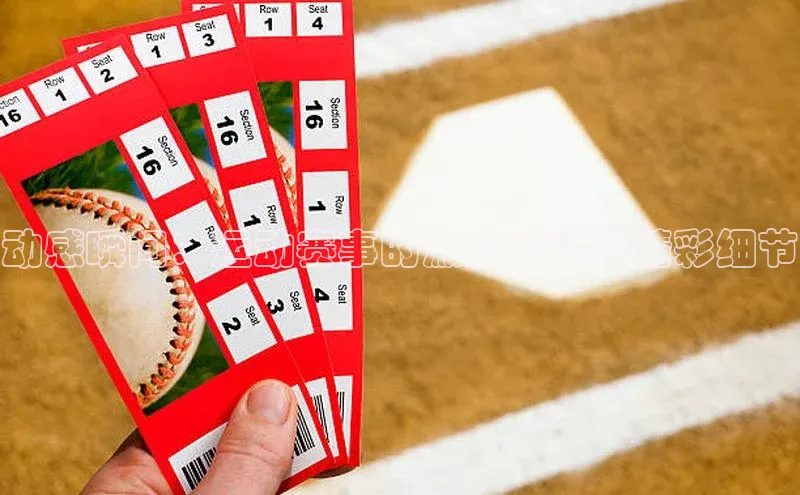 3377体育中国官方网站入口